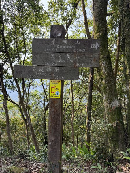 [微笑山線_第八段] 2026_0411 二格山系_炙子頭山3035072