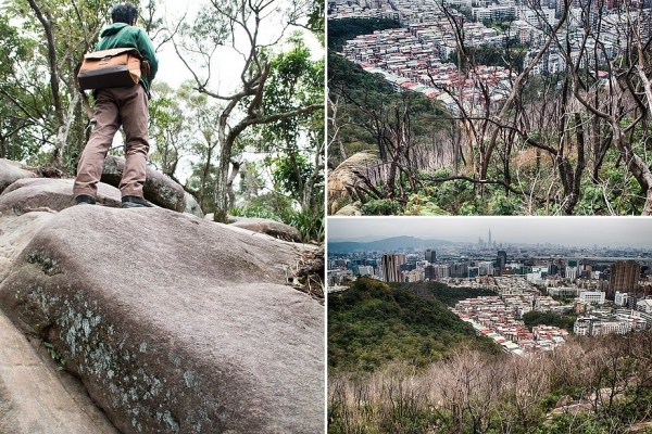 【台北內湖】剪刀石山．金面山步道的焦木哀愁