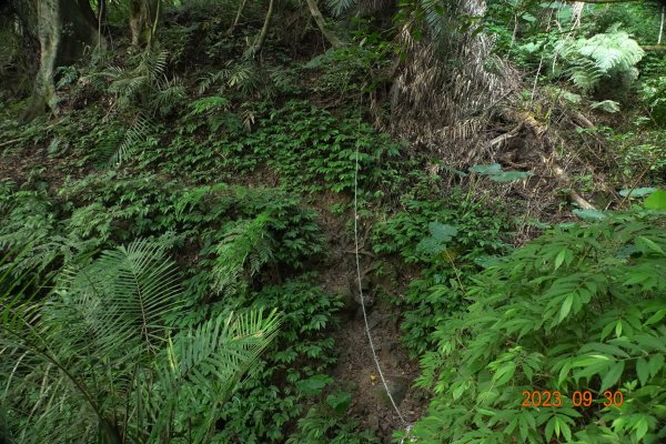 苗栗 大湖 玉女山、金童山、汶水山2301478