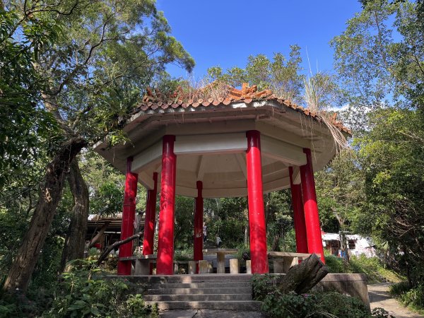 [微笑山線_第五段] 2025_0705 天上山系_五尖山2830305