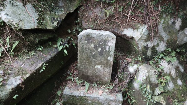 獵貍尖步道連走烏塗溪步道登山健行趣(淡蘭南路TK3-6&TK3-5&TK3-4)2404522