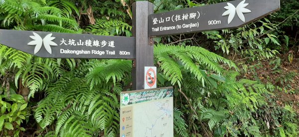 20200509 暖暖 - 威惠廟960903