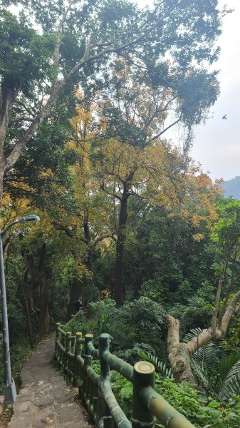 2026-0116 大屯三山_貴子坑_北投2984783