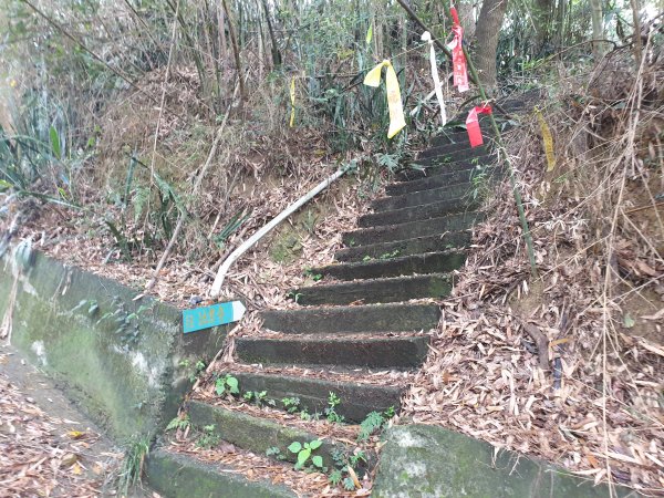 人生之中有點可怕的登山行程......玉女山、金童山及汶水山1552798