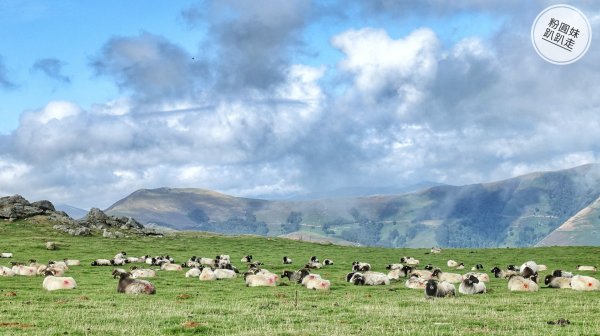 【勇氣2.0朝聖之旅】 D1庇里牛斯山賞雲海652979