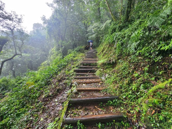 20250719頂湖上大凍山2907135