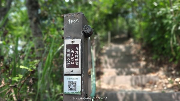 《南投》峰峰相連｜草屯九九峰森林步道O型202509062879249