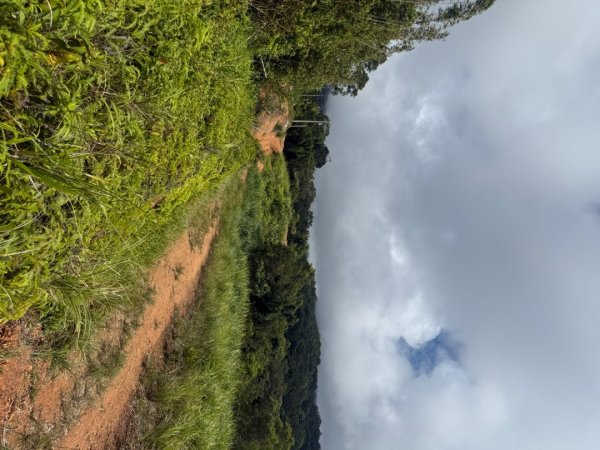 頭城火車站-頭圍山-礁水坑山南峰-礁水坑山-鶯子嶺2867044