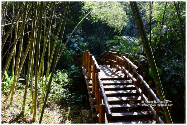 嘉義阿里山鄉里佳巨石板步道602000