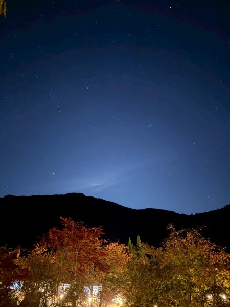 1141108-09桃山單攻2935943