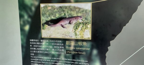 大霸群峰:大霸尖山、小霸尖山、伊澤山、加利山、耶巴奧山2849561