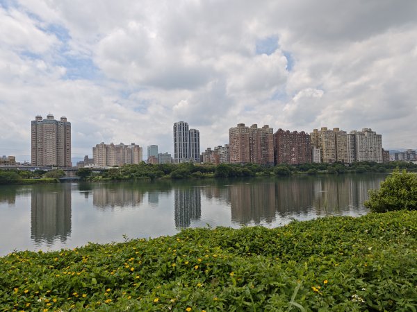 [跟著2025雙北世壯運探索雙北市-1/21] 2025_0607 飛盤競技道（華江雁鴨河濱步道）2807796