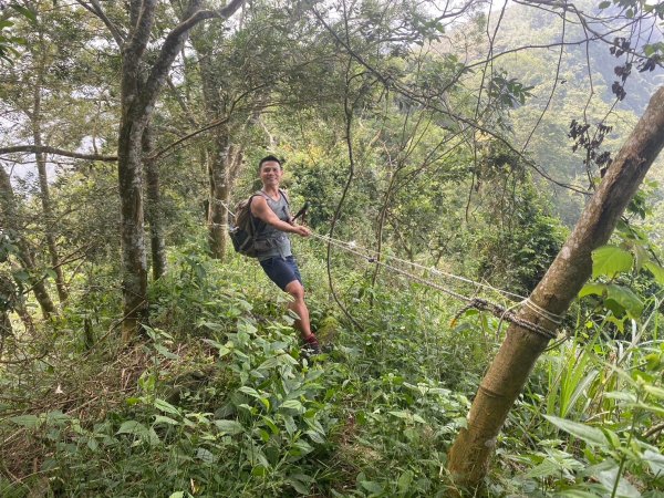 三寶山(烏心石山.鳩州嶺.尖凍山)步道【變成夢魘的大秘寶】2639864