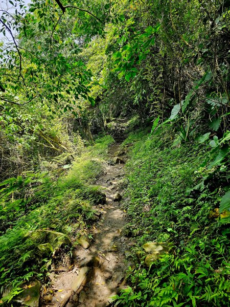 小百岳集起來-立霧山2185583