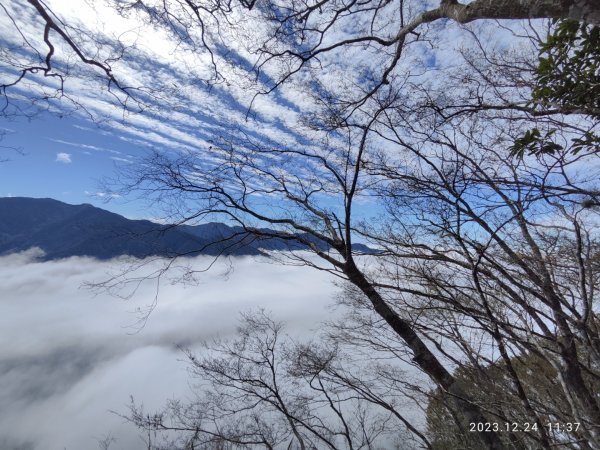 虎山雲海_水雲三星2023.12.242399152