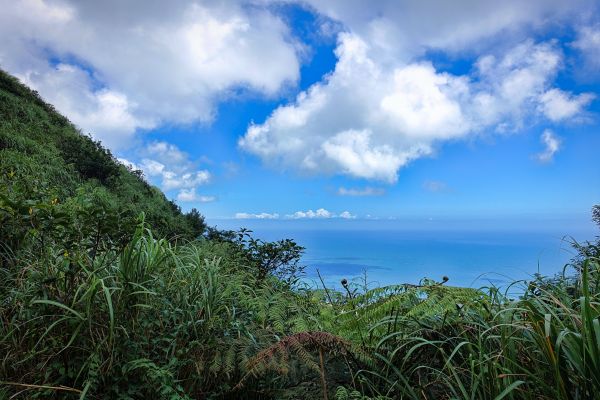 茶壺山、伏牛礦體、黃金洞O型369844