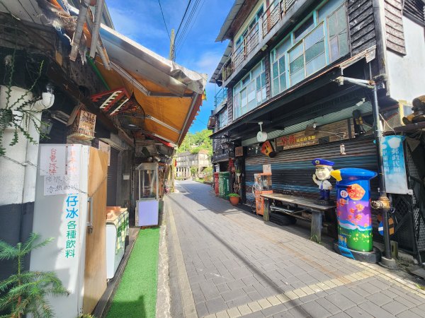 20250629 youbike 木柵 ~ 十分2907235