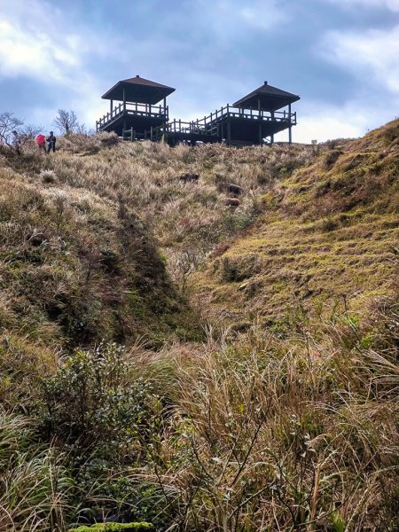 2025-01-19 大里天公廟~埡口2695383