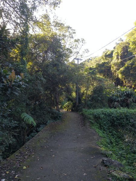 2025.11.15－鳴鳳古道2942986