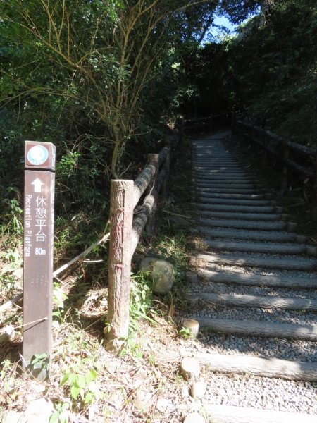 大坑步道2上1下1168671