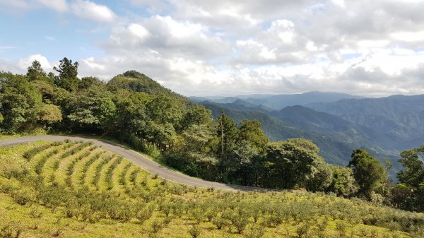 2020.01.06 坪林-獅公髻尾山799925