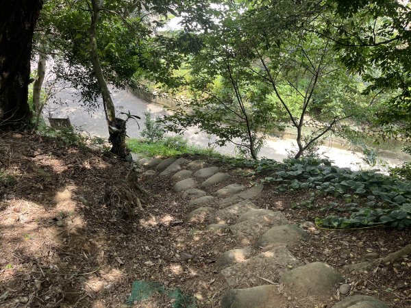 [皮皮獅探險隊-03/10] 2025_0706 犁頭山、文山步道2831466