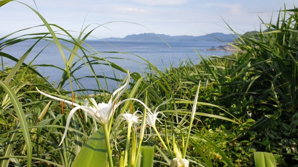 登山觀海鼻頭角1016361