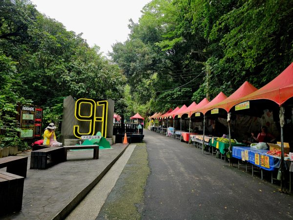 大坑9、10號步道-(台中)臺灣百大必訪步道2805938