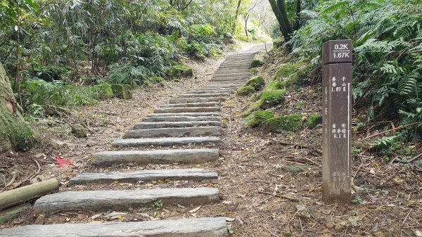 姜子寮山姜子寮瀑布1067263