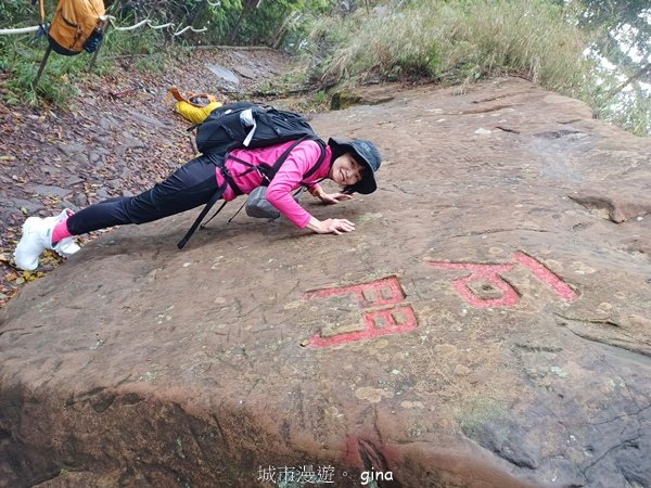 【苗栗大湖】山頂展望佳等到雲海。 馬那邦山登山步道2806803