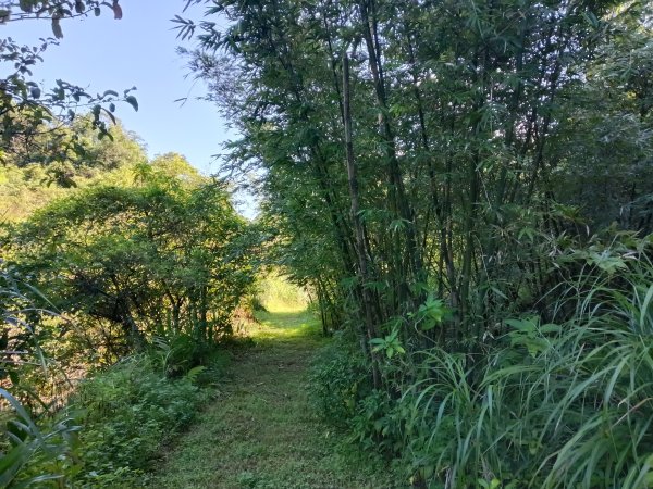 雙溪區內盤山坑古道+石硿子越嶺古道+盤山坑古道+過火坪古道O型2914353