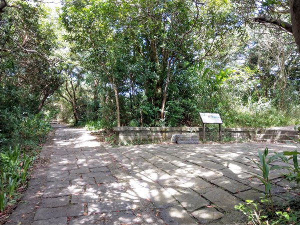 晴空萬里的硬漢嶺步道(觀音山)、凌雲寺往返＋原始土石山徑1489145