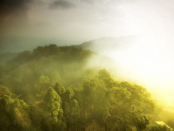苗栗--薑麻園步道7480