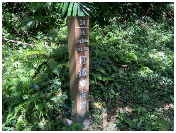 草嶺山、白石山、頭寮山 六連峰 O型路線2798619