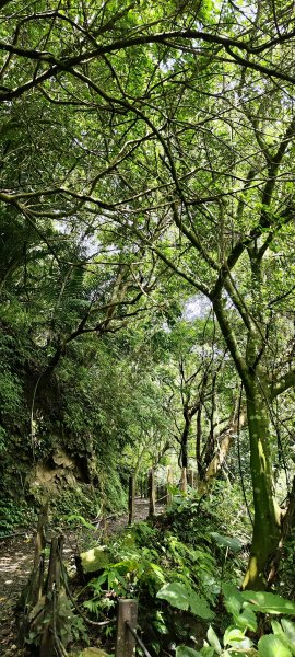 新竹內灣．馬胎古道202506212823500