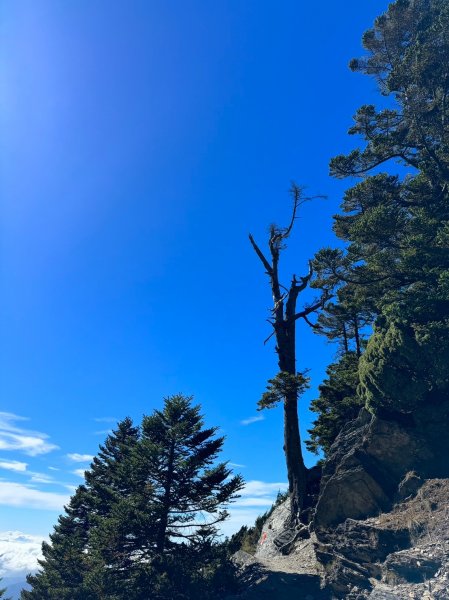 東埔山莊上排雲山莊再登玉山西峰2343700