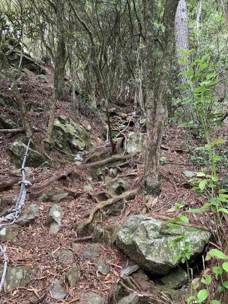 鳶嘴山（台中市和平區）2509661