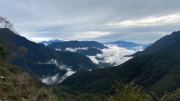 塔塔加-排雲山莊。驚喜滿分的糖霜雪景1565841