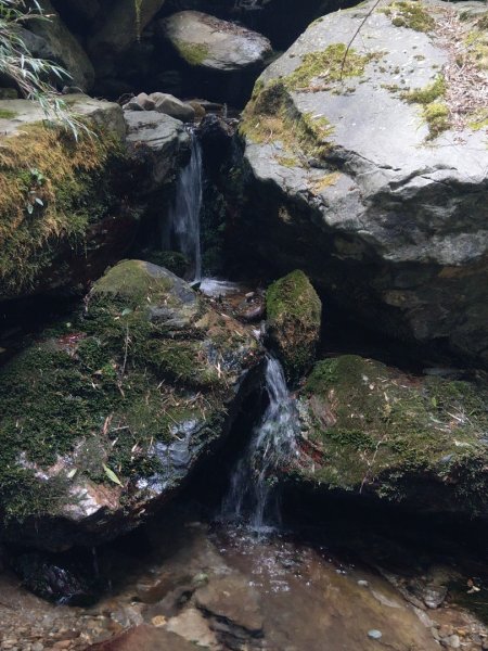 嘉明湖/向陽山/三叉山1333666