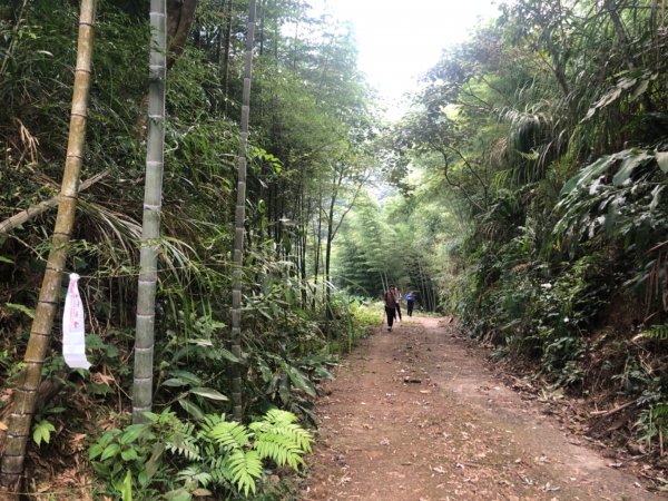 小百岳嘉義大湖尖山1135600