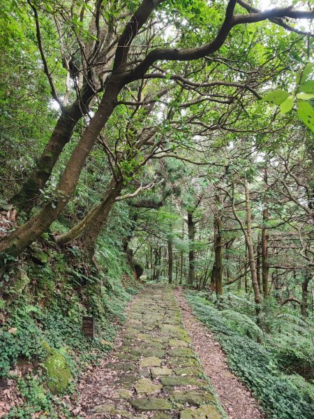 環七星山人車分道步道-陽金公路段 - 走遍陽明山尋寶任務2255027