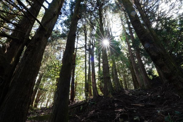 台中 和平 馬崙山2796952