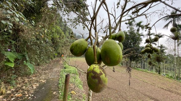 過坑山快閃2685062