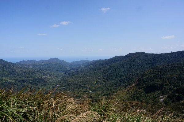 風擎步道(風櫃嘴至擎天崗)2059145