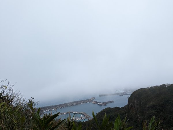 2023-02-11 槓子寮砲台、槓子寮山步道（龍崗步道）2792640