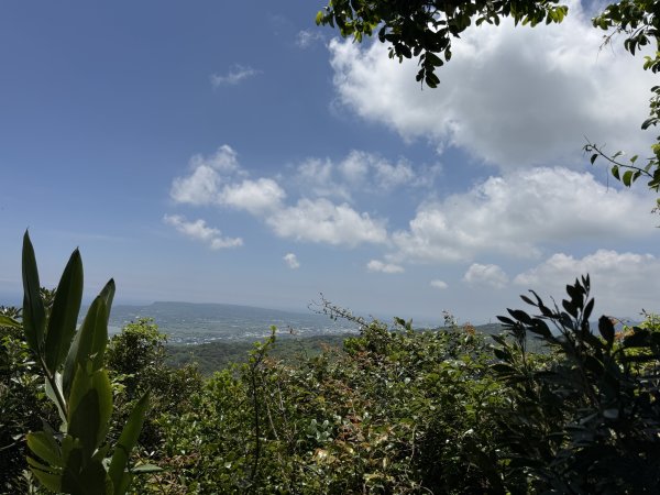 78赤牛嶺大山母山3083588