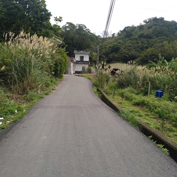 山塘背登山步道-竹林秘境1606064