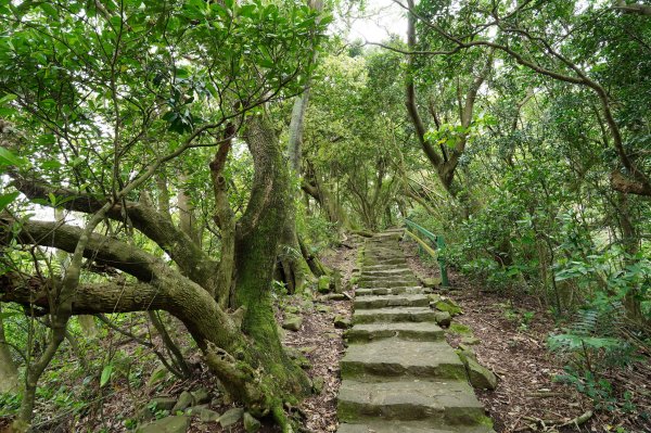 臺北 北投 嘎嘮別山、稻香山、貴子坑山2760541