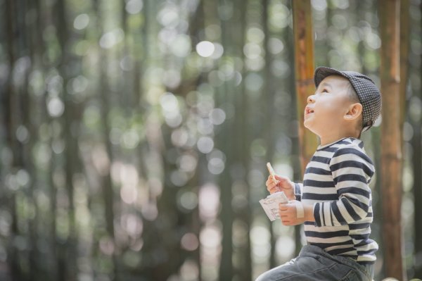 20200310-司馬庫斯神木群步道914309