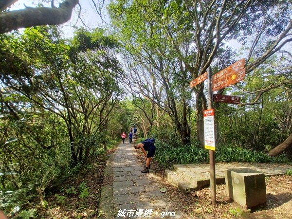 【新北八里】搭捷運公車爬山趣。 小百岳集起來。編號05小百岳-八里觀音山(硬漢嶺步道)1759655